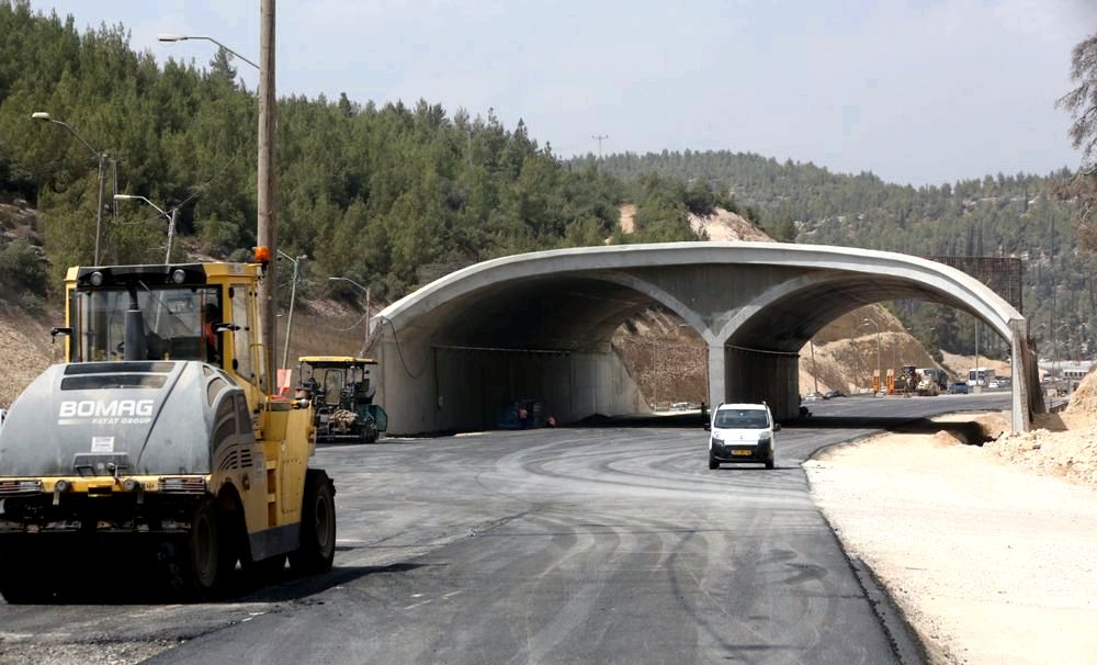 דרכים אלטרנטיביות לנסיעה בישראל: אפשרויות ירוקות