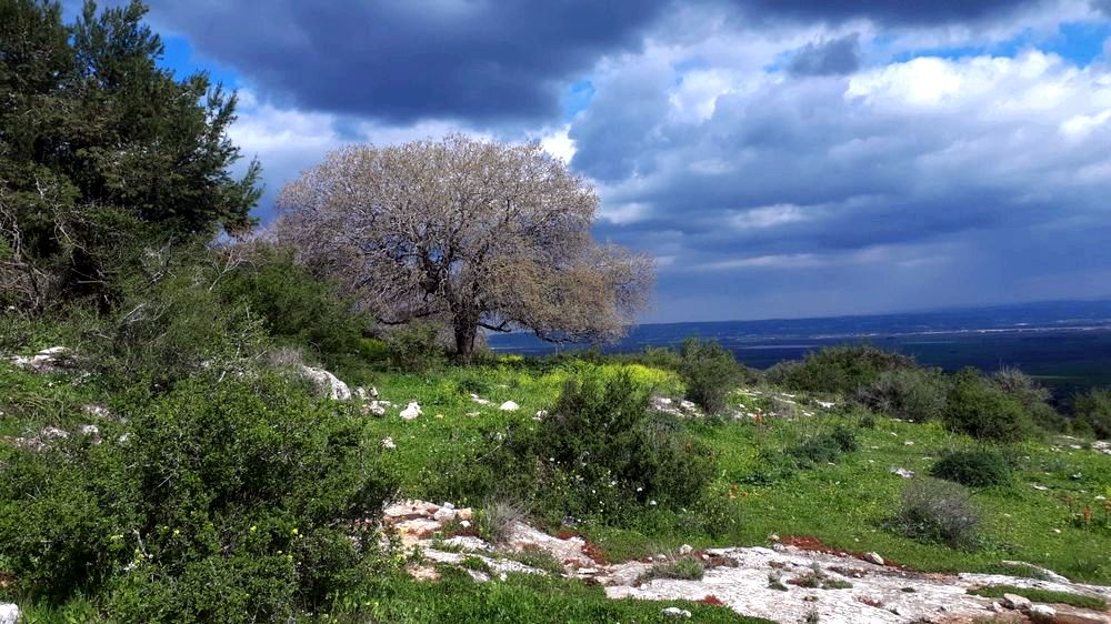 סודות שבמסלולי הרים