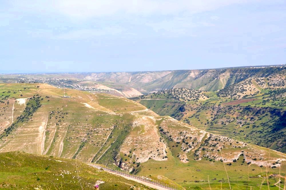 שדות האגוזים ברמת הגולן